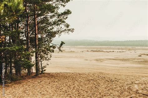 Fotka Bledow Desert Pustynia Bledowska Biggest Sand Desert In