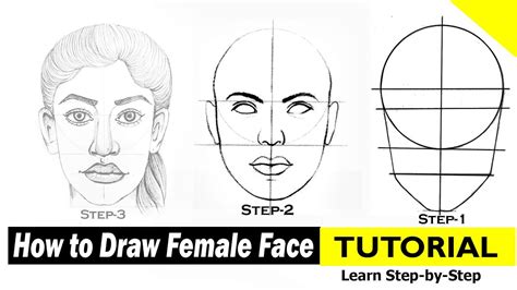 Female Face Drawing Master Proportions With Our Step By Step