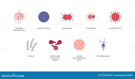 Sexual Transmitted Disease Infographic Vector Flat Healthcare Illustration Color Icon Set Std