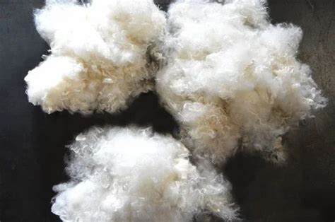 Recycled Polyester Staple Fibre At Best Price In Ludhiana By Shiva