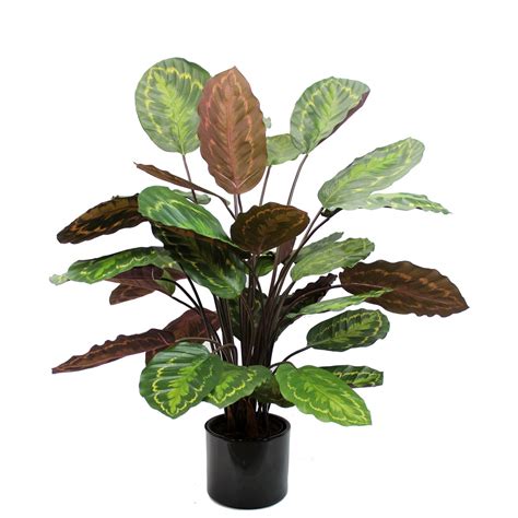 Calathea Artificiel Rosea Picta Cm Plantes Vertes Artificielles