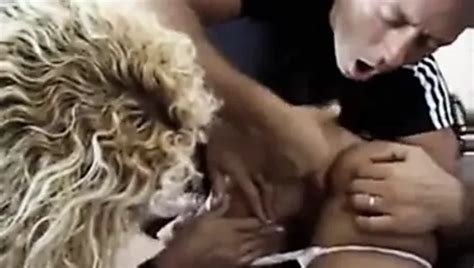 Rocco Fucks Bonita Vintage Anal Porn XHamster