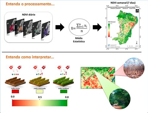 CHBAGRO Imagens de satélite NDVI na agricultura Veja os benefícios