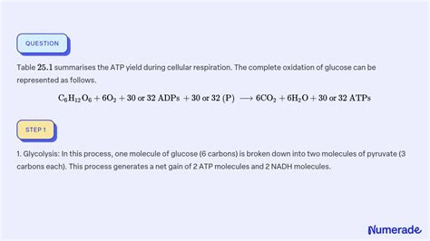 Solved Table Summarises The Atp Yield During Cellular Respiration