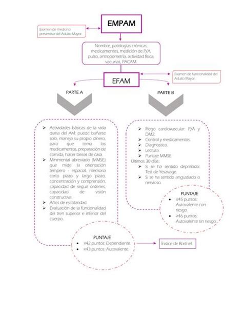 Examen De Medicina Preventiva Del Adulto Mayor Constanza Z UDocz