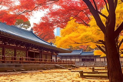 Seoul Autumn S First Visit Background, Autumn, Tile Roof, Tree ...