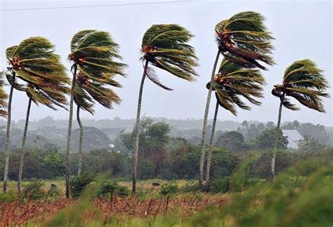 R Fagas De Viento De Hasta Km H Afectar N A El Salvador