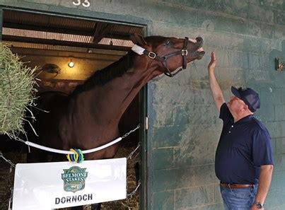 Dornoch - Horse Profile - BloodHorse