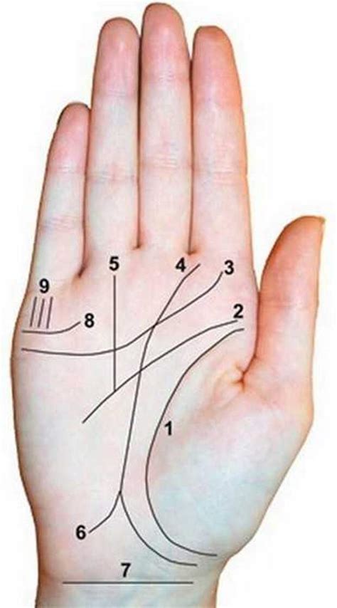 Как определить возраст по линии жизни на руке фото с расшифровкой