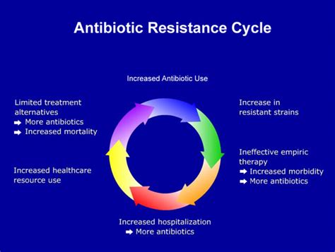 Factory Farming Produces Antibiotic Resistant Bacteria Allergies