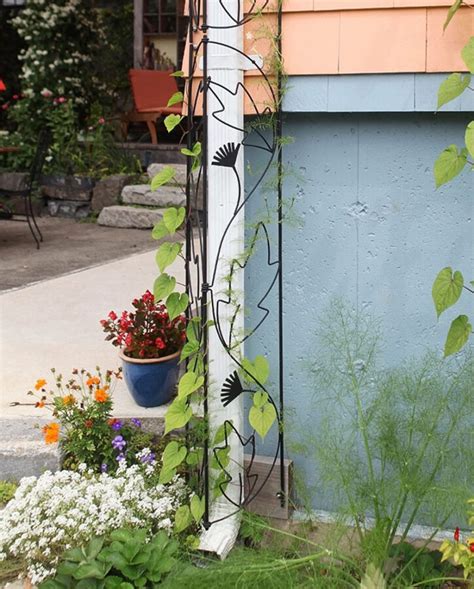 Wrought Iron Trellises Vinland Valley Nursery