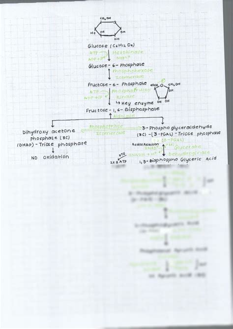 SOLUTION Respiration In Plants NCERT NEET And CBSE Board Class 11