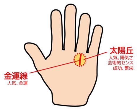 左手の手相であなたの金運がわかる？ 占い師がその理由と見方、意味を教えます Oggijp