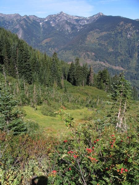 White Pine Creek Logging Road Lake Ethel Upper Roaring