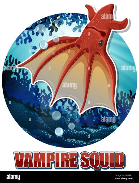 Vampire Squid Deep Sea Creature illustration Stock Vector Image & Art ...