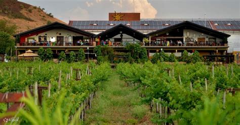 Sula Vineyards With Wine Tasting Day Tour From Mumbai Klook