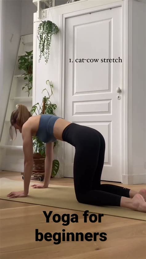 Yoga Stretch Easy Yoga Stretch For Beginners Yoga Status Trending