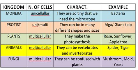 Thgradersagustindearguelles Natural Science Unit Living Things