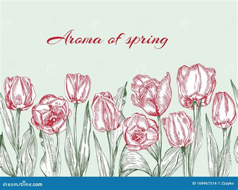 Greeting Background With Spring Flower Tulips Bouquet In Red And Green