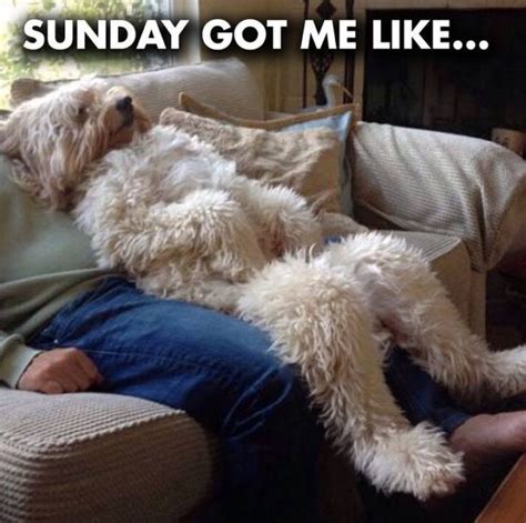 27 Funny Sunday Memes That Are Perfect for Lazy Sundays