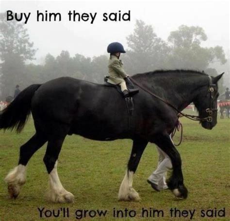 22 Funny Horse Riding Pictures That Prove Horses Have a Sense of Humor Too