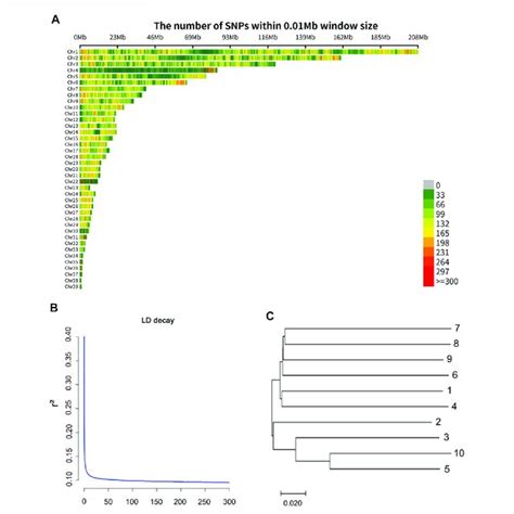 A Distribution Of The SNPs On The Chromosomes The X Axis Represents