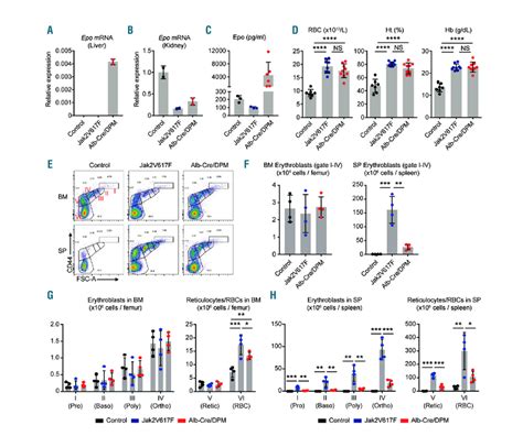 The Novel Mouse Models LysM Cre Jak2V617F And Alb Cre DPM Demonstrate A