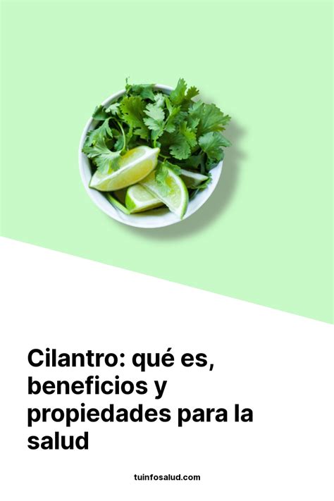 Cilantro Qué Es Beneficios Y Propiedades Para La Salud Tuinfosalud