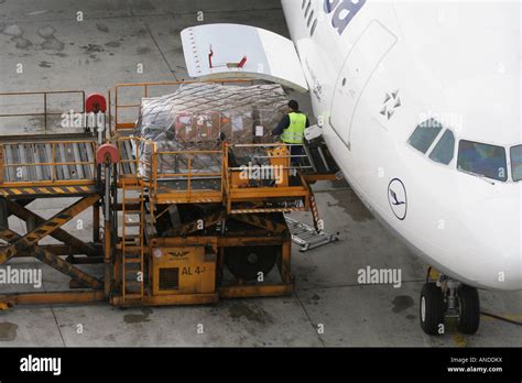 Chargement de fret aérien à bord d un avion à réaction commercial