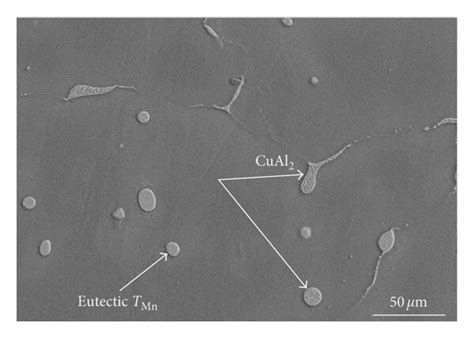 Sem Images Of Al Cu Mn Alloys As Cast A Al Alloy B A Alloy C