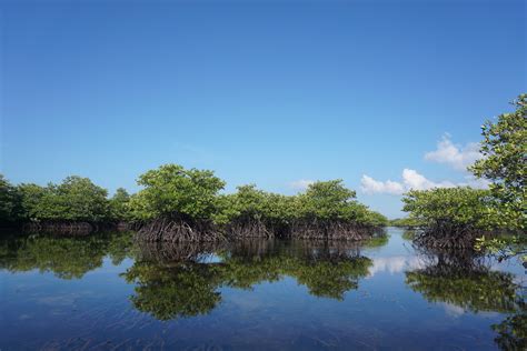 Pink Sand Beach & Lagoon Cruise Zamboanga Full-Day Tour