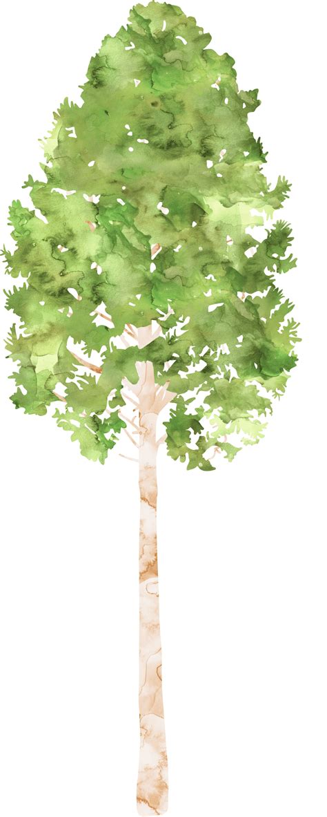 Watercolor Tree Clip Art