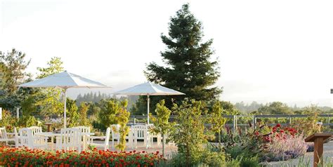 12 Sonoma Wineries to Visit Right Now - Sonoma County Tourism