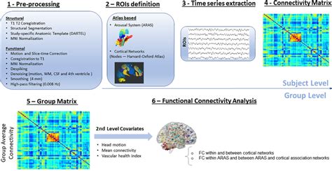 Fmri Data Preprocessing And Analysis Pipeline Nodes Of Canonical