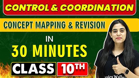 Control Coordination In Minutes Mind Map Series For Class Th