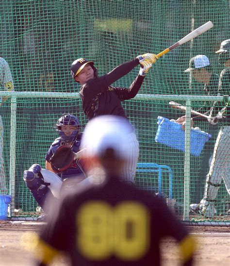 阪神スタメン 森下が今季初の1番起用 3番は近本 先発・村上は2年連続の豊橋市民球場で勝利なるか ライブドアニュース