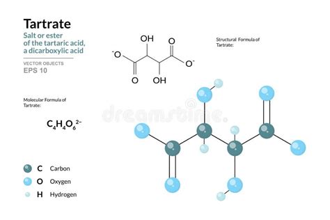 Tartrate Salt Or Ester Of The Tartaric Acid A Dicarboxylic Acid