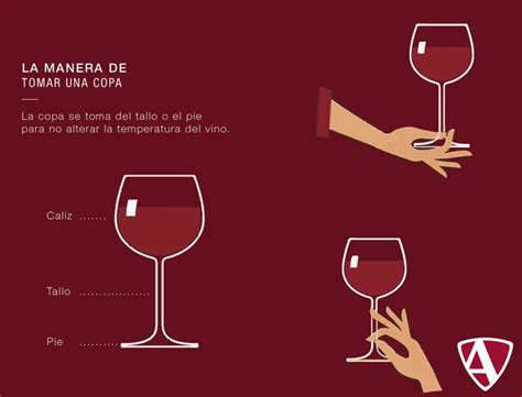 Aprende Cómo Colocar Correctamente La Copa De Vino Y Agua