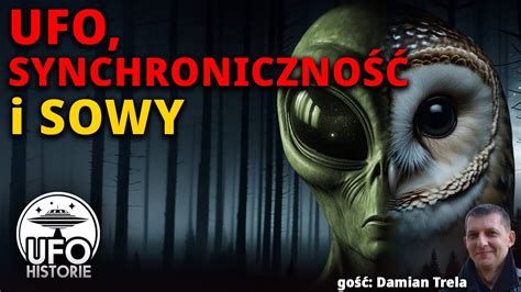 UFO synchroniczność i sowy hipoteza Mike a Clellanda Trela