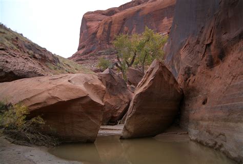 Hike Guide: Coyote Gulch – Across Utah!