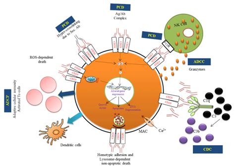 Identified Potential Effector