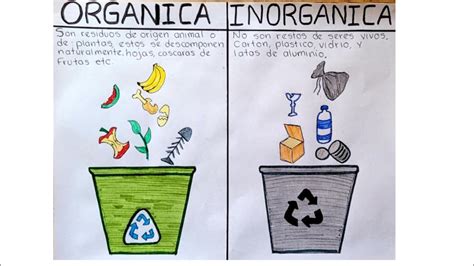 Top 55 imagen dibujos de basura orgánica e inorgánica Thptnganamst