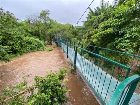 IN PHOTOS: Eloise uproots trees, floods streets in Mpumalanga | Mpumalanga News