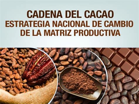 4 Cadena Del Cacao