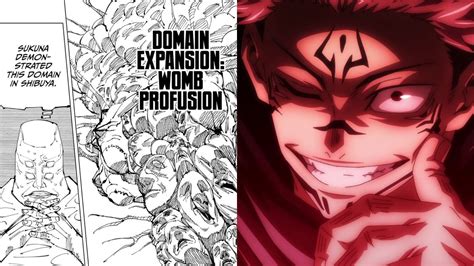 yujis domain expansion  jujutsu kaisen    binding vow