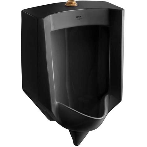 Shop Kohler 1825 In W X 27625 In H Black Wall Mounted Urinal At