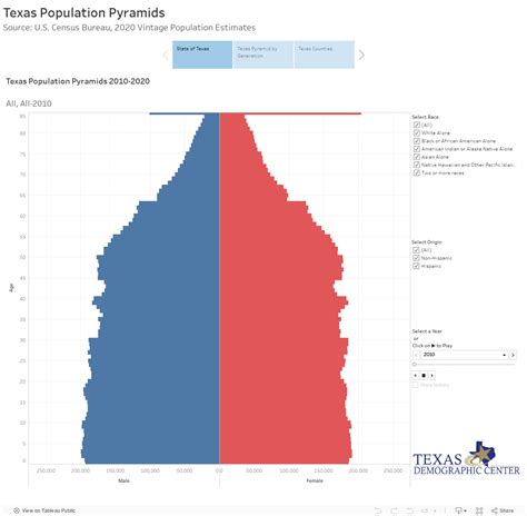 Tdc Interactive Population Pyramids 2010 2020 State Of Texas And