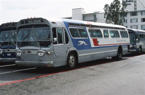 Greyhound 9644 San Francisco 9 1975 Mb Retro Bus Greyhound City Transit