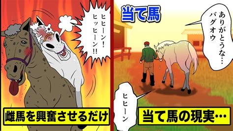 雌馬を発情させるだけが仕事「当て馬」の悲しい現実を漫画にした。 Youtube