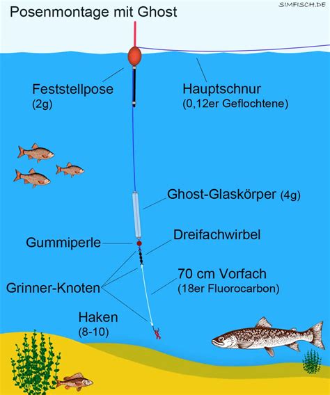 Forellen-Montagen | Simfisch.de – Angeln und Outdoor!